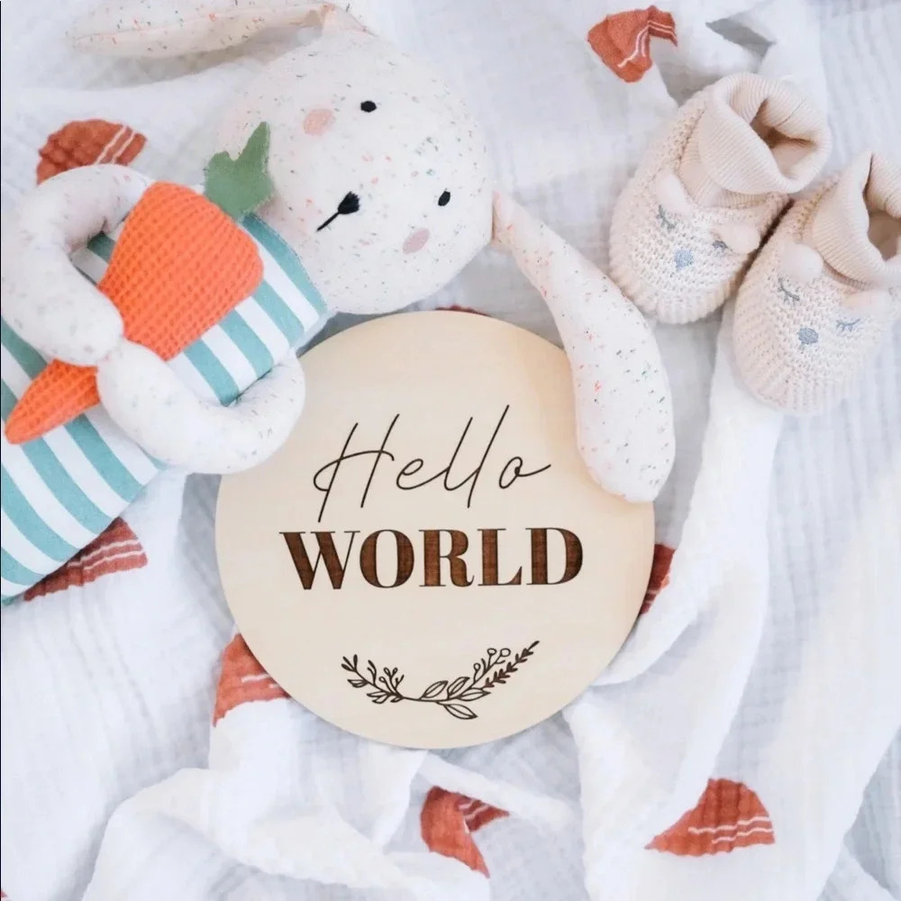 Hello World Baby Birth Announcement Sign